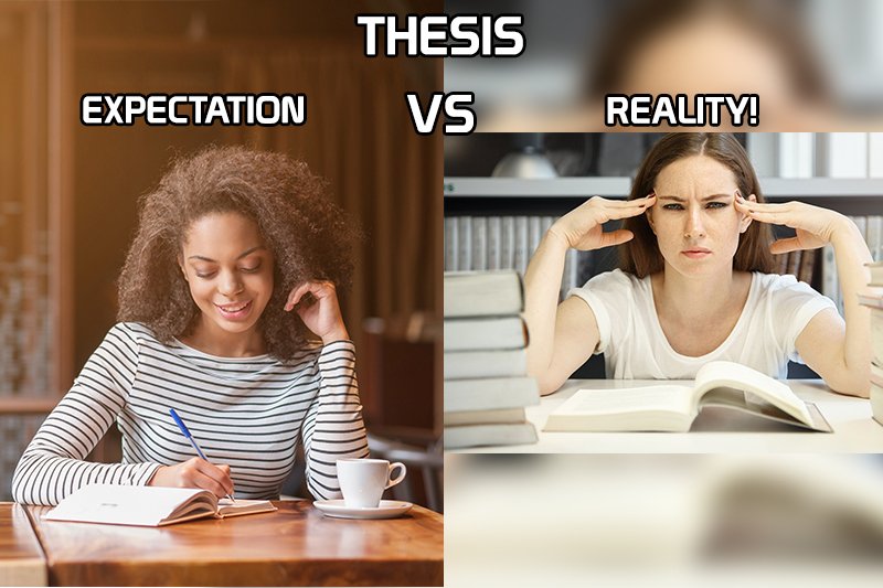 THESIS - EXPECTATION VS REALITY!